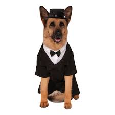 Hundkavajen