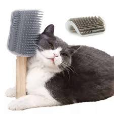 Kattborsten